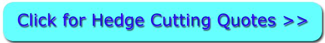 QUOTES FOR HEDGE CUTTING BURSLEM