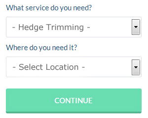 Hedge Care Services in Galleywood Essex (01245)