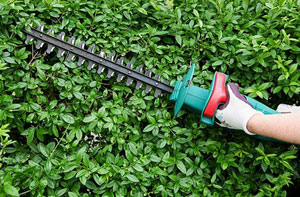 Hedge Cutting West Thurrock