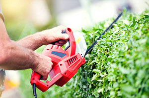 Hedge Cutting Exeter