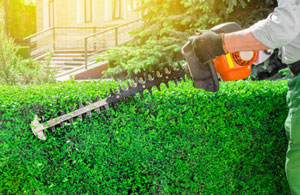 Hedge Cutting Nelson BB9