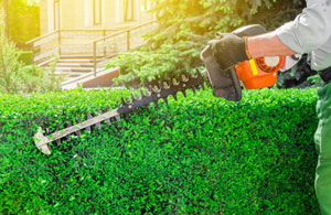 Hedge Cutting Irvine KA11