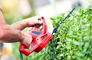 Hedge Cutting Near Me Hedge Cutting Near Me Coulsdon