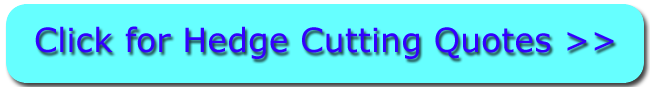 QUOTES FOR HEDGE CUTTING COULSDON
