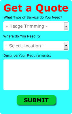 Hedge Cutting Quotes Northam Devon EX39