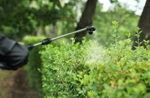 Hedge Pest Control Hedge Pest Control Billing