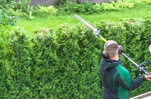 Hedge Trimming in Storrington