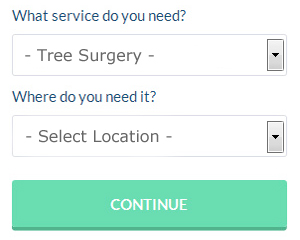 Tree Surgery Services in Shanklin Isle of Wight - Get a Quote