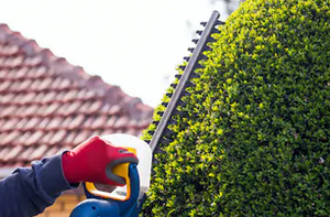 Hedge Cutting Near Me Hedge Cutting Near Me Stourbridge