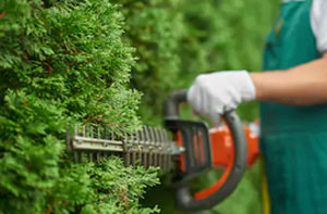 Local Hedge Trimming Services Hedge Care Stourbridge