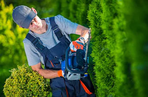 Local Hedge Trimming Services Hedge Care Westhill