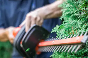 Local Hedge Trimming Hedge Trimming Stourbridge UK